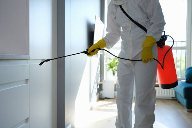 Best Professional Mold Removal  in Rapids, NY